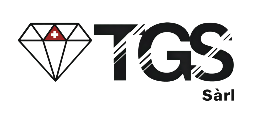 Logo comportant une icône en forme de diamant avec une croix suisse, suivie du texte noir « TGS Sàrl ».