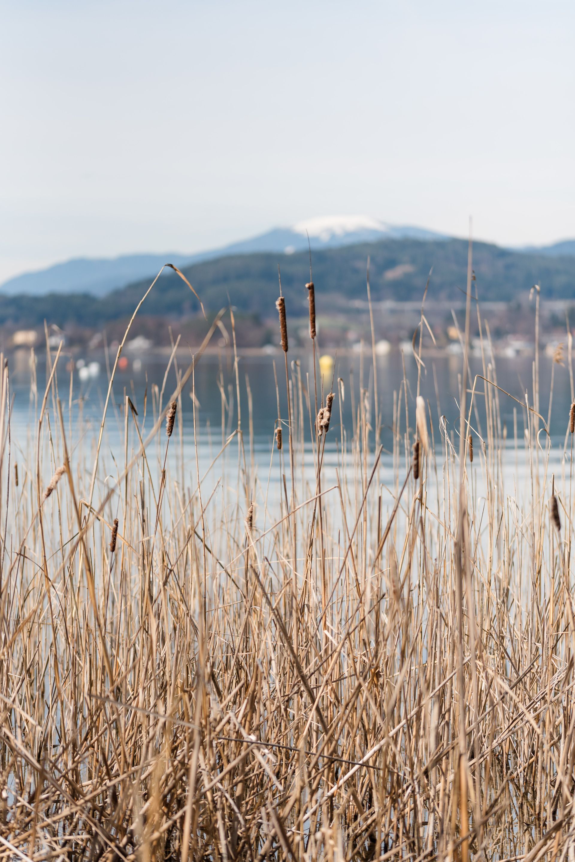 Familienfotograf Kärnten
Klagenfurt, Villach, Völkermarkt, St. Veit
Familienshooting
Fotograf
Familienfotos
Fotos mit Familie