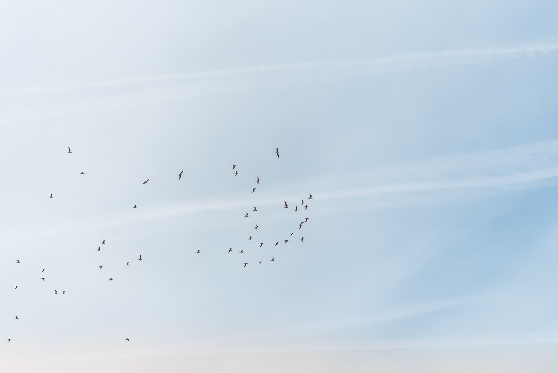 Familienfotograf Kärnten
Klagenfurt, Villach, Völkermarkt, St. Veit
Familienshooting
Fotograf
Familienfotos
Fotos mit Familie