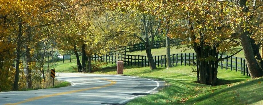 A road with trees on both sides and a fence in the background