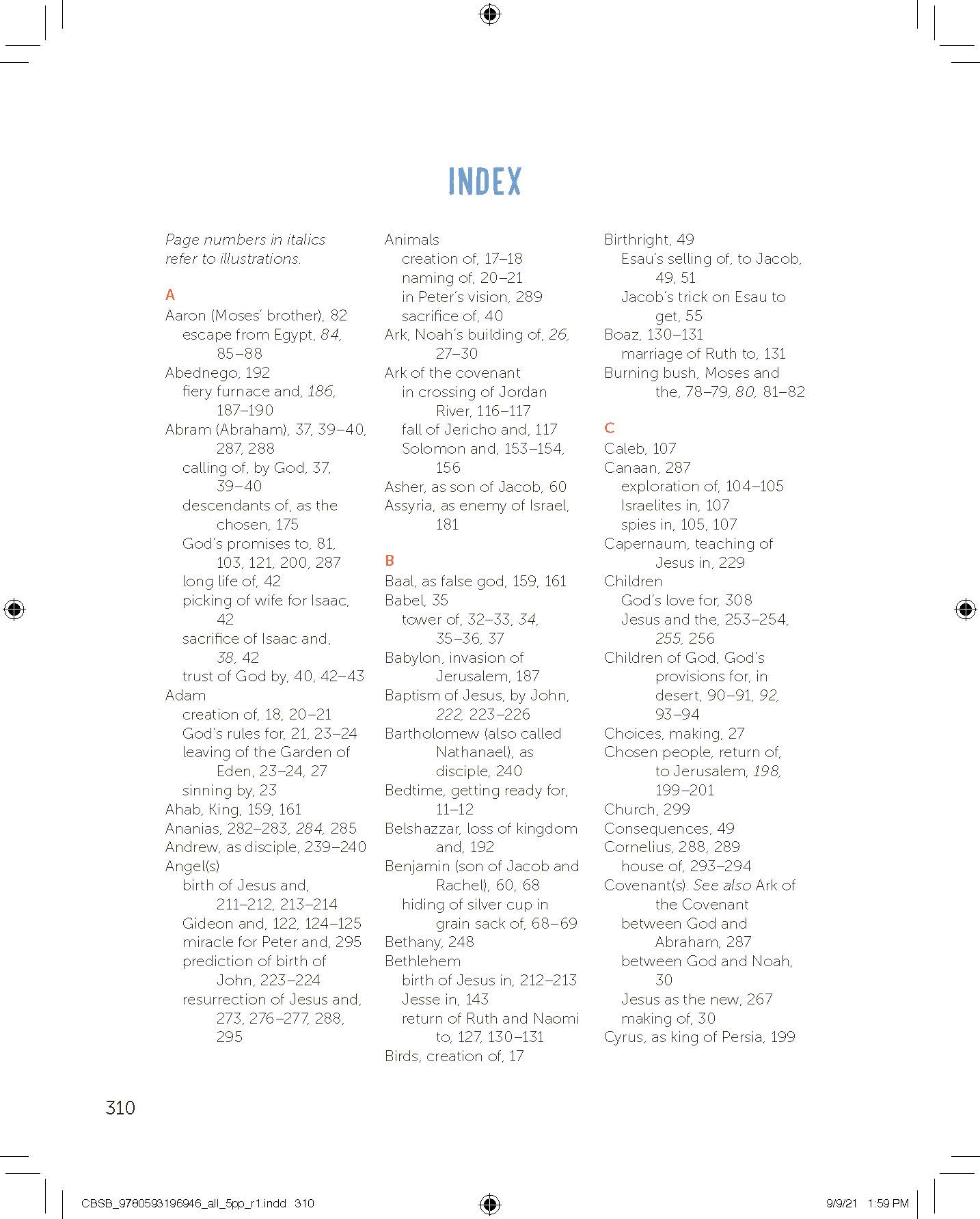 A page of a book with the word index on it.