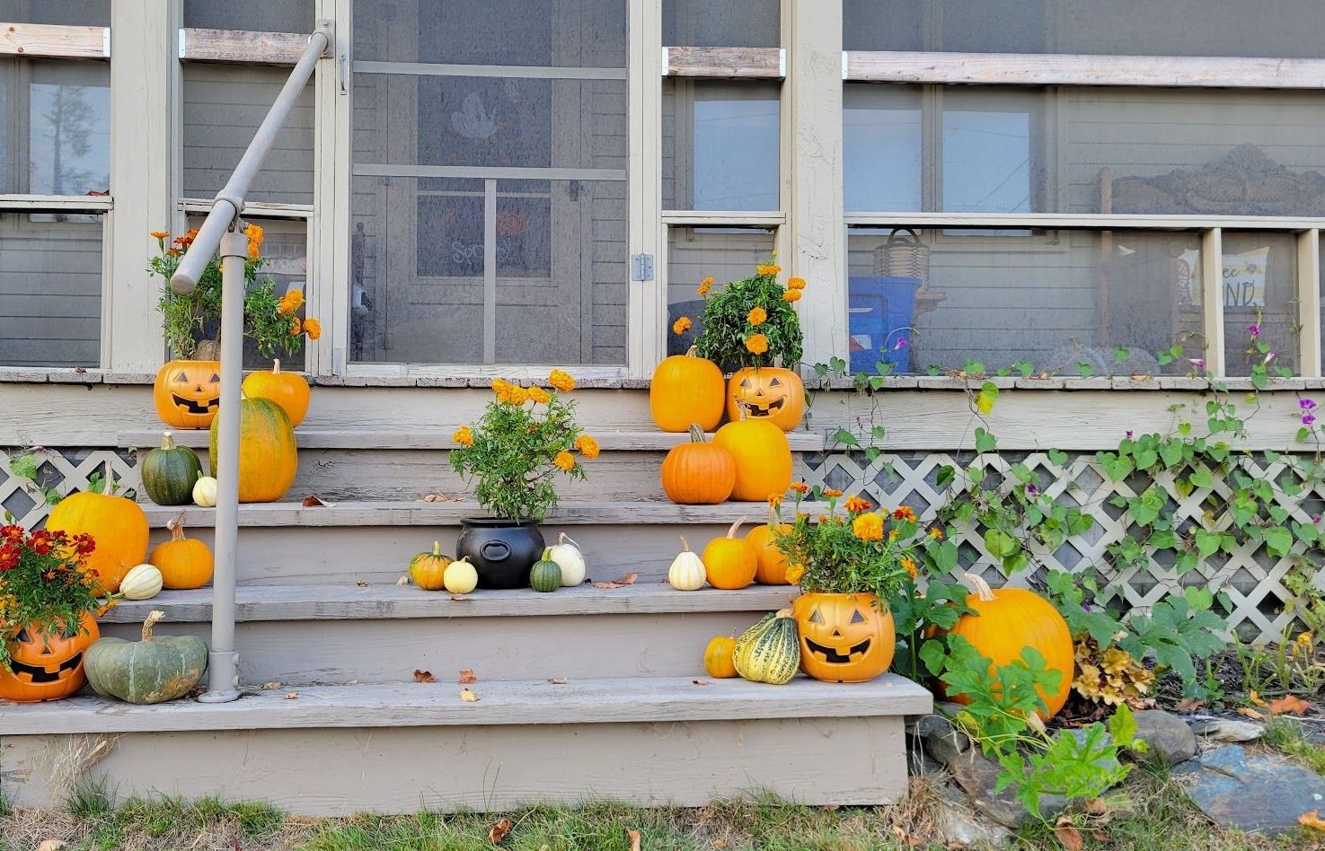 Pumpkins and marigolds adorn the porch at Ostara's Grove pumpkin patch
