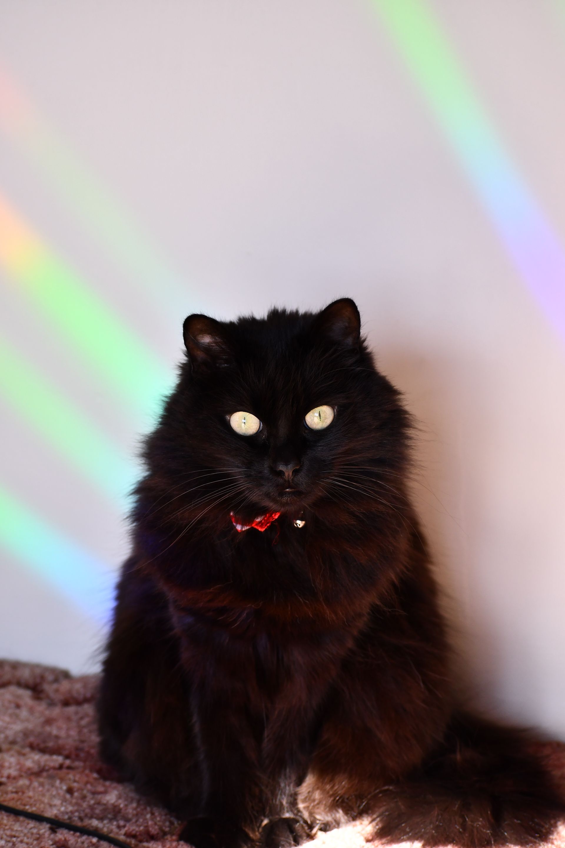 Ostara, namesake of Ostara's Grove flower farm, admires rainbow reflections in Vermont