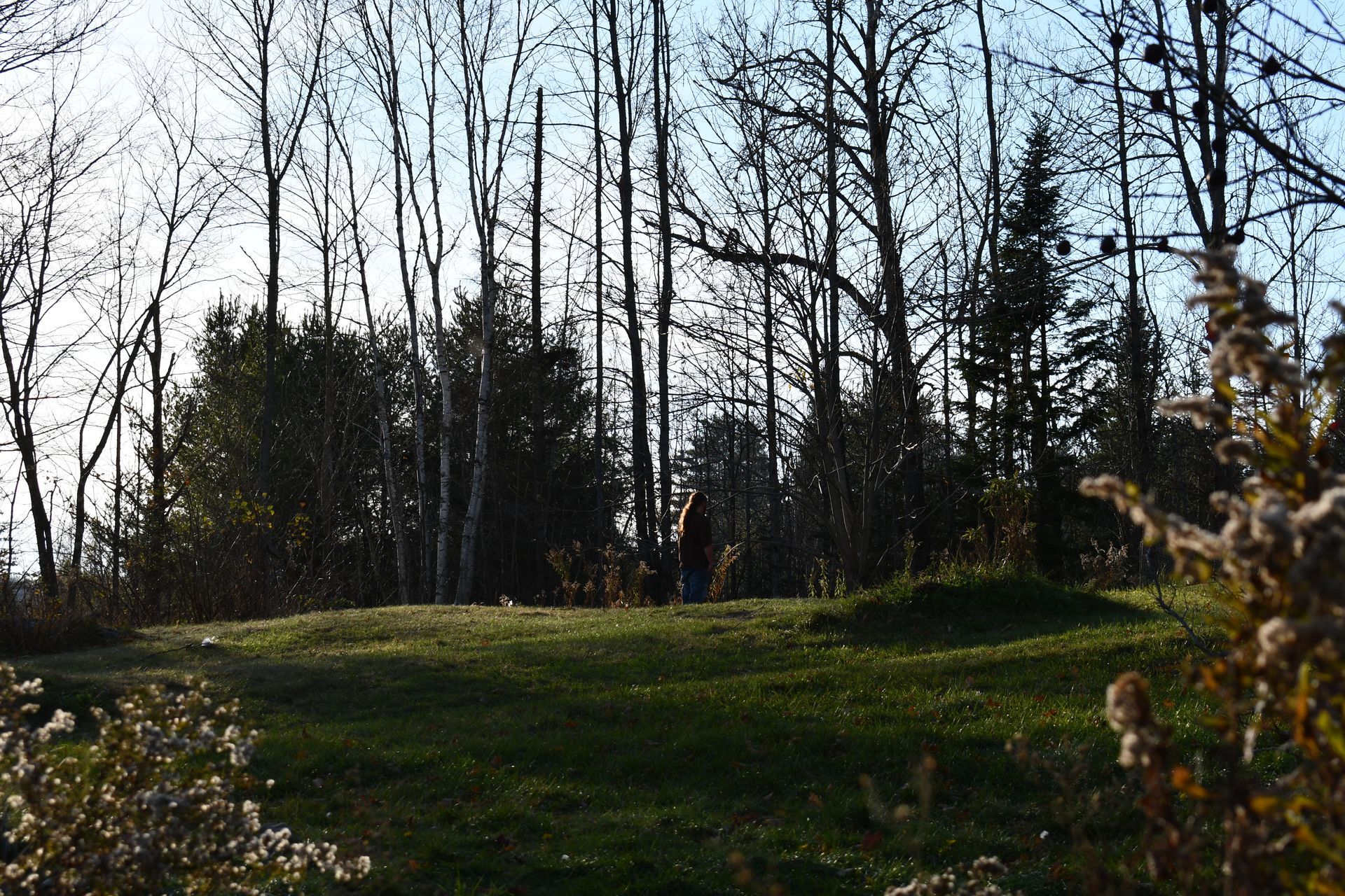 The sun sets over Ostara's Grove, Vermont flower farm