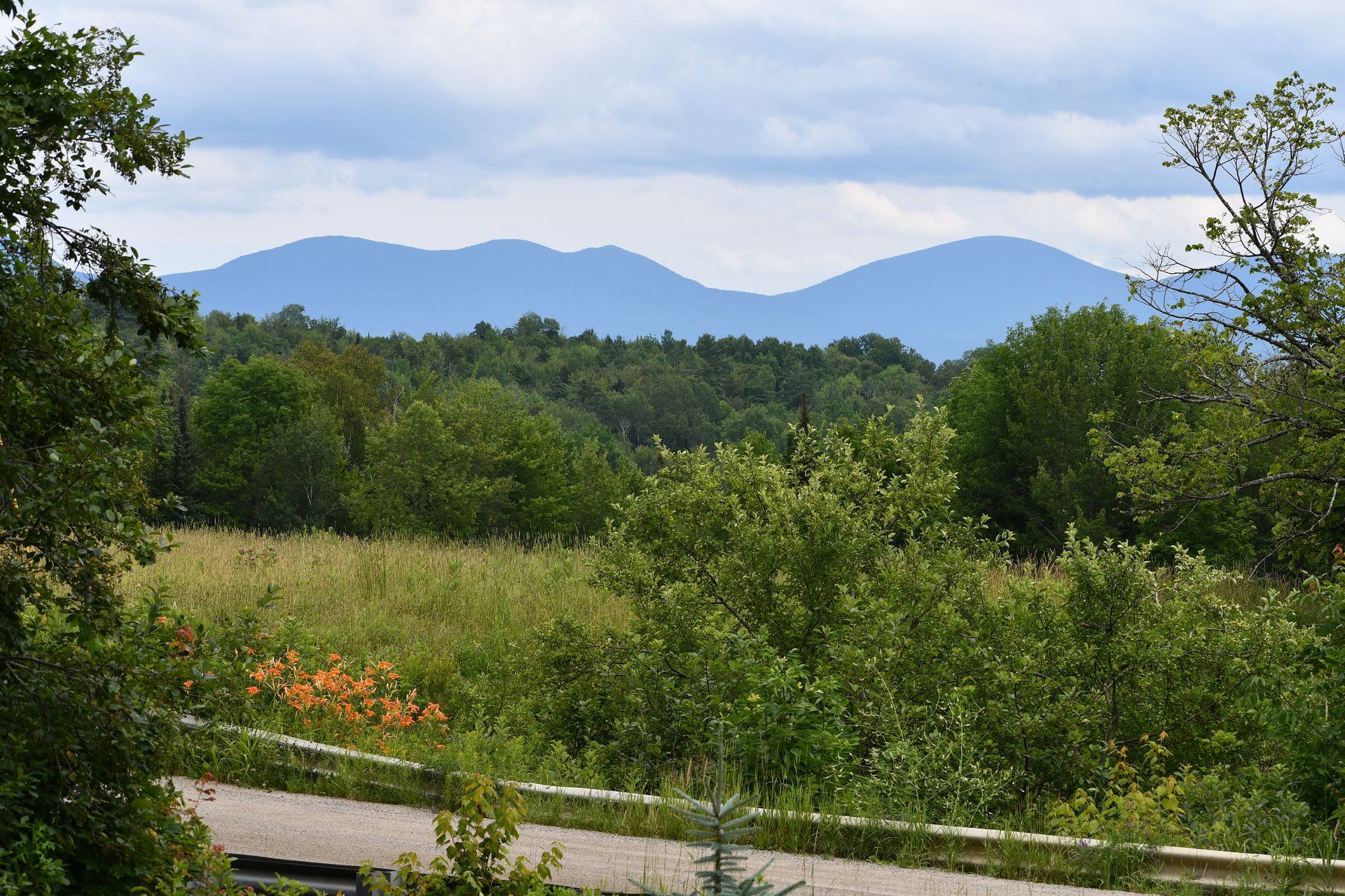 Ostara's Grove Flower Farm has a stunning view of New Hampshire Mountains