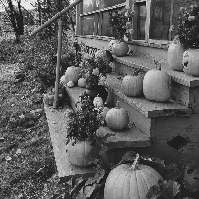 Marigolds and pumpkins adorn the porch at Ostara's Grove Flower Farm Vermont