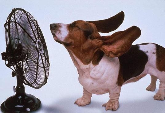 Give Your Air Conditioner a Break