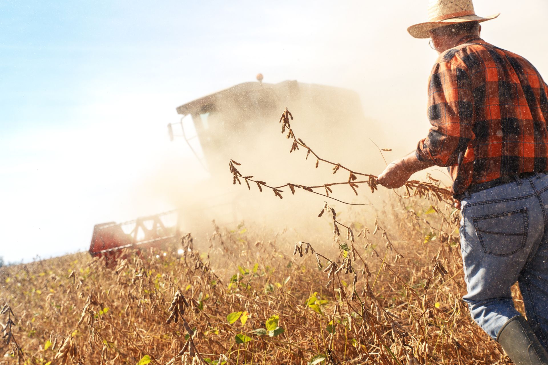 Richland Micro Drainage: Secure Your 2025 Harvest With Fall Drainage 