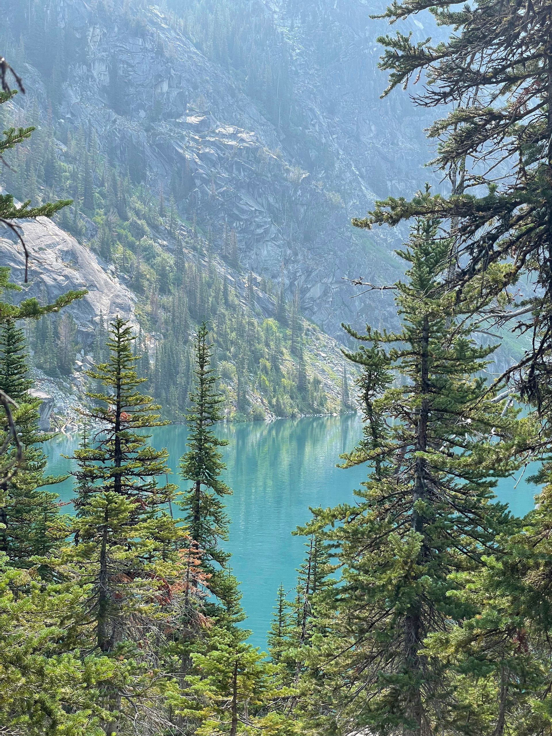 A lake in the middle of a forest surrounded by trees.