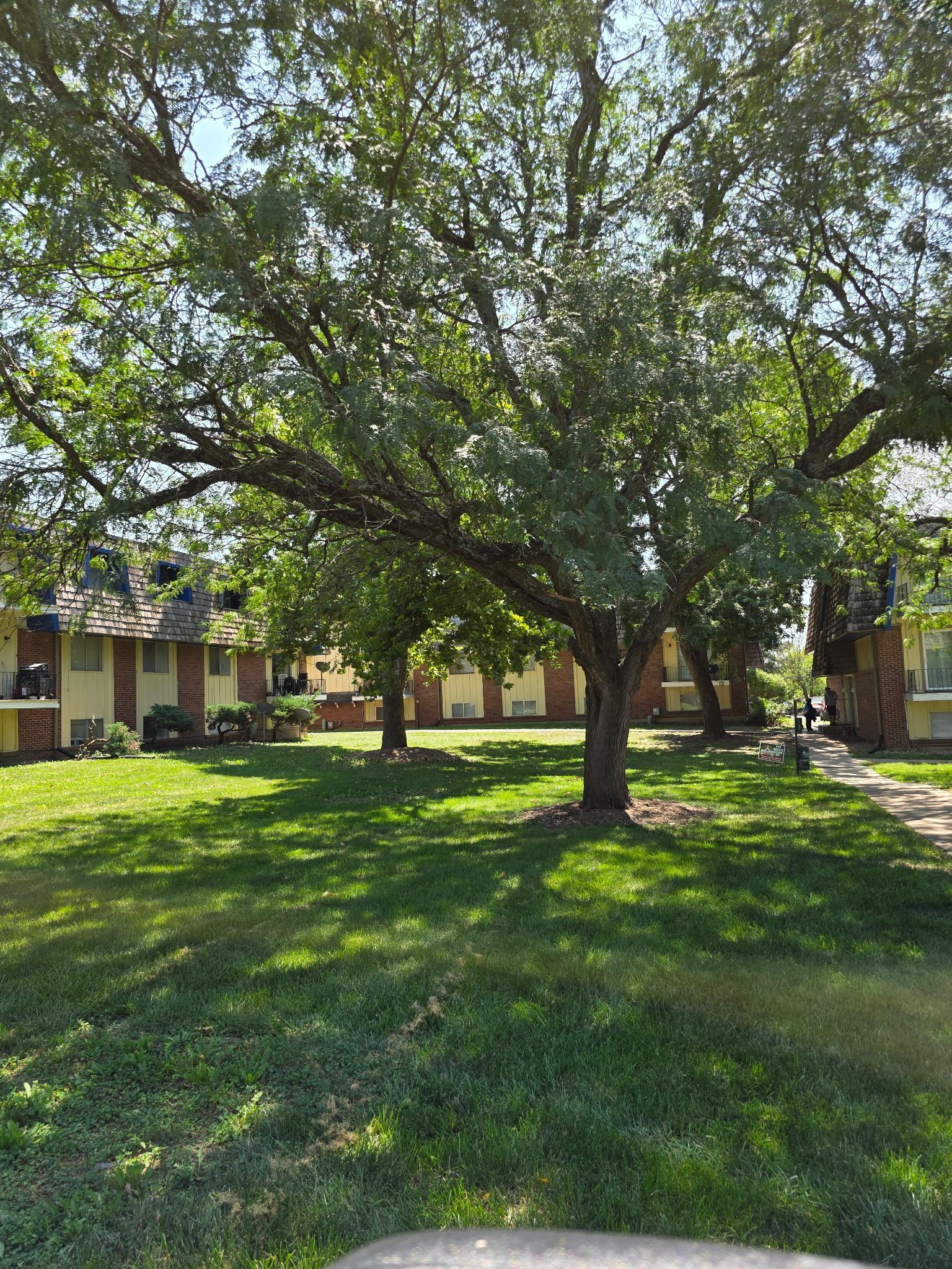 A large tree shades a grassy area in front of several low brick buildings.