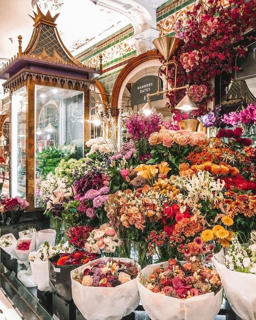 Mikki Moore – Waterfront Real Estate Expert, Marketing Designer, Realtor Trainer, Founder of Paypicx Media
