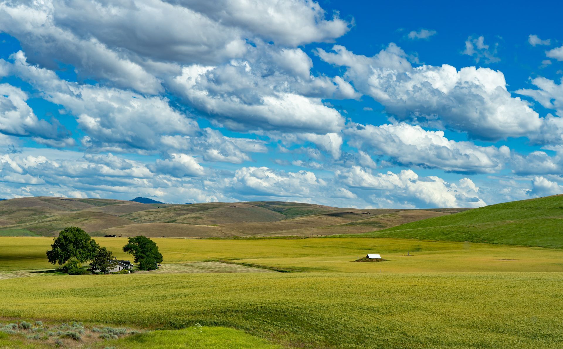Green field under a blue sky with fluffy clouds. Distant hills, trees, and a small structure.