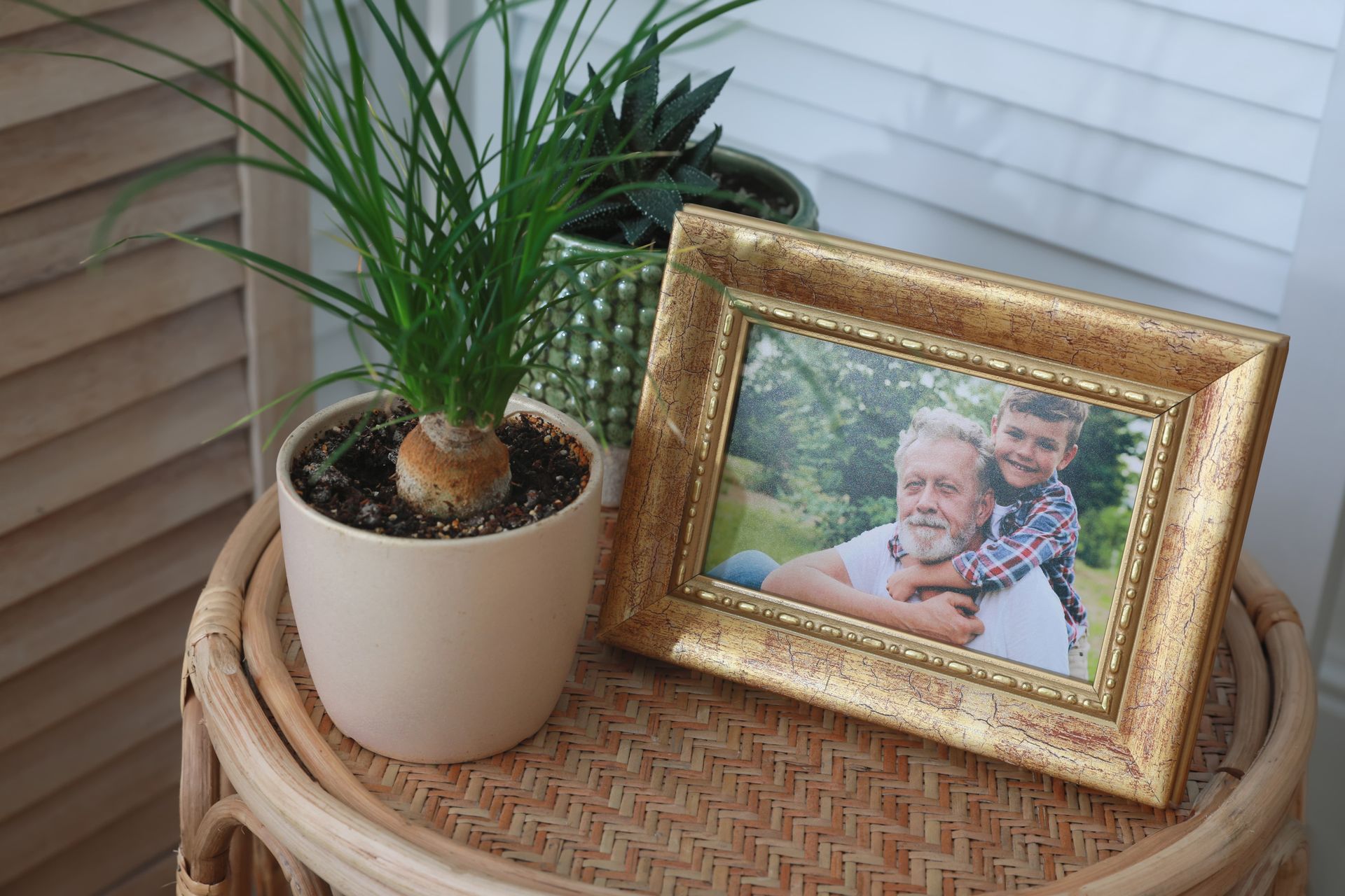A photo in a gold frame shows a grandfather embracing a young boy.  Beside it are potted plants on a woven table.