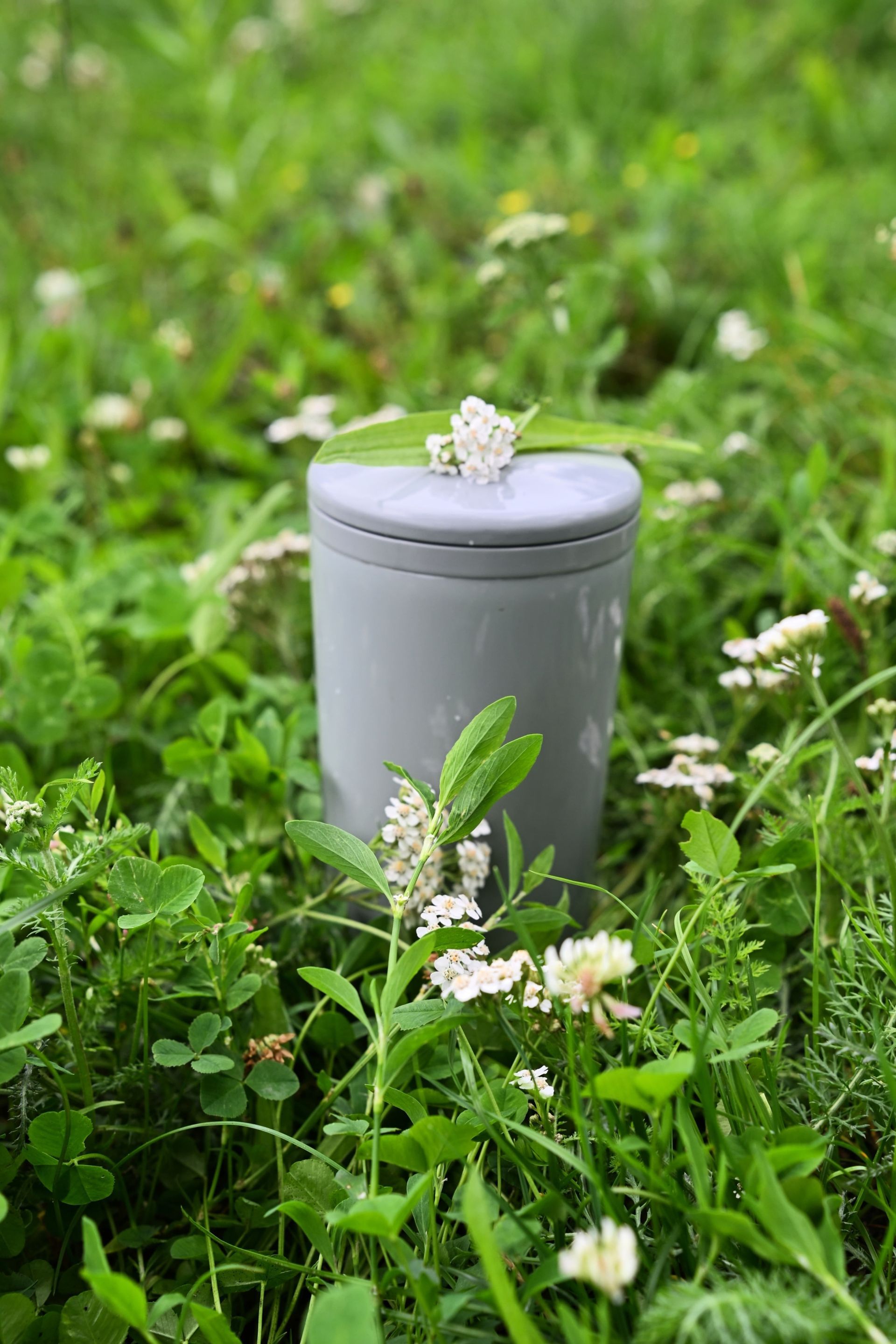Gray urn in green grass, topped with leaf and white flowers.