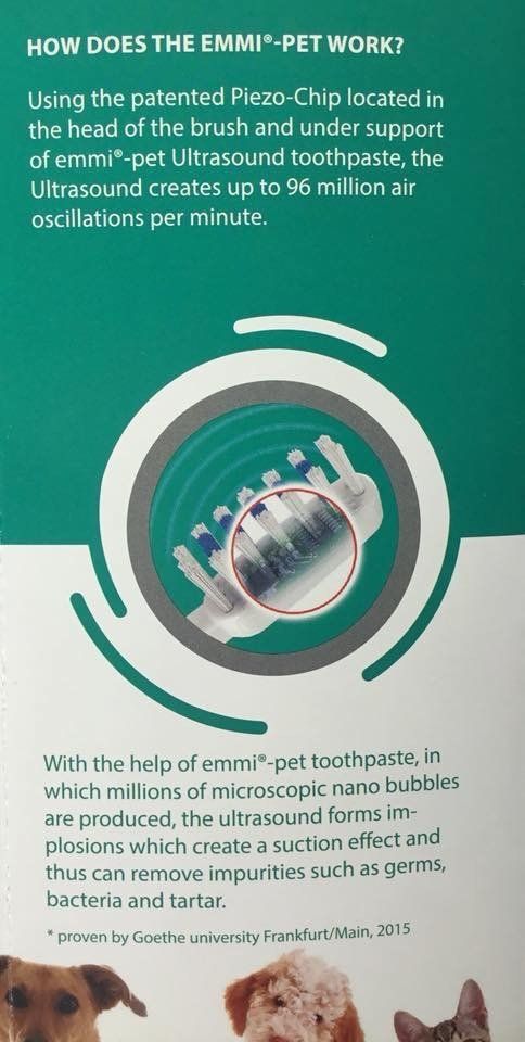pet toothbrush
