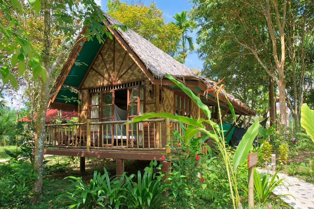 A small wooden house with a thatched roof is surrounded by trees in Thailand