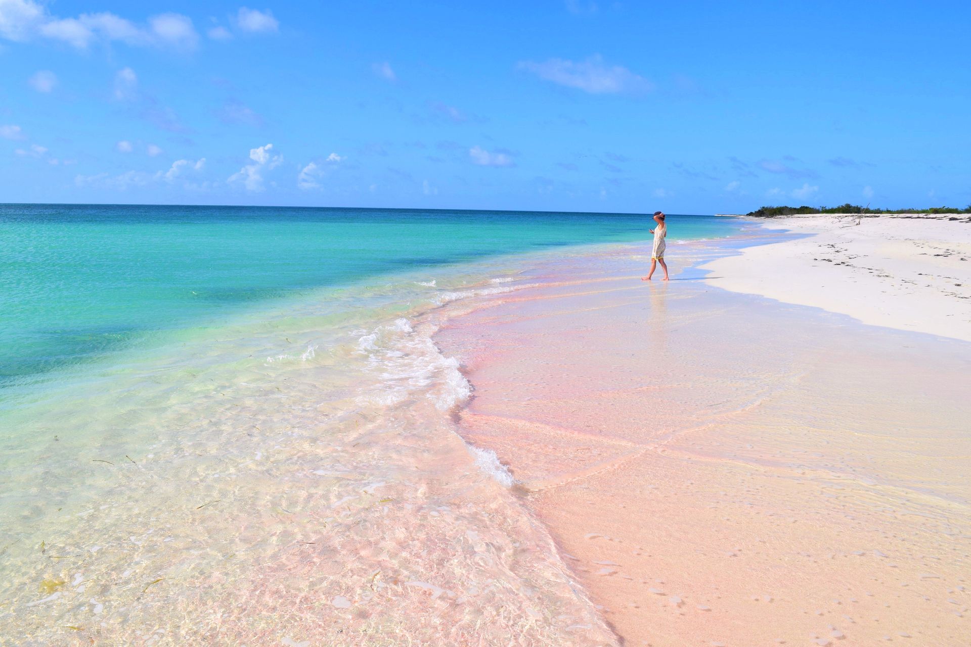 A woman is walking on a pink sandy beach in Barbuda