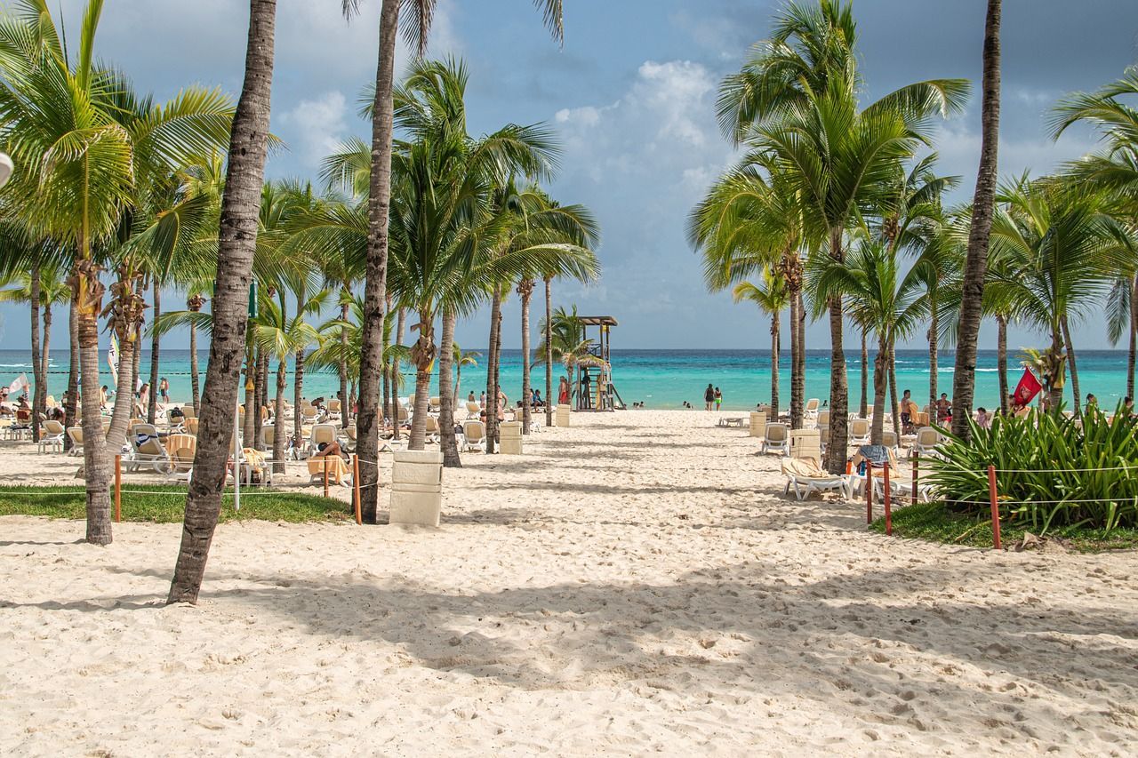 There are many palm trees on the beach and a lifeguard tower in the distance.