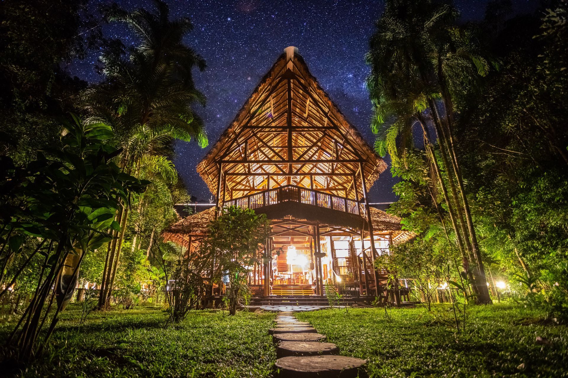 A house with a thatched roof is lit up at night in the Amazon.