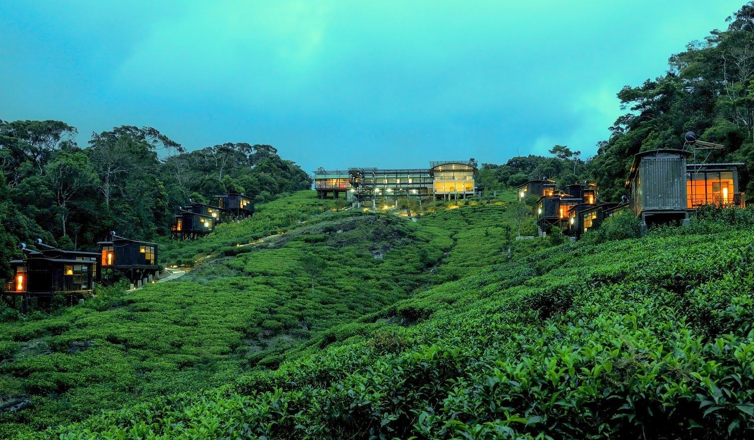 A group of holiday lodges are sitting on top of a hill surrounded by tea plantation in Sri Lanka.