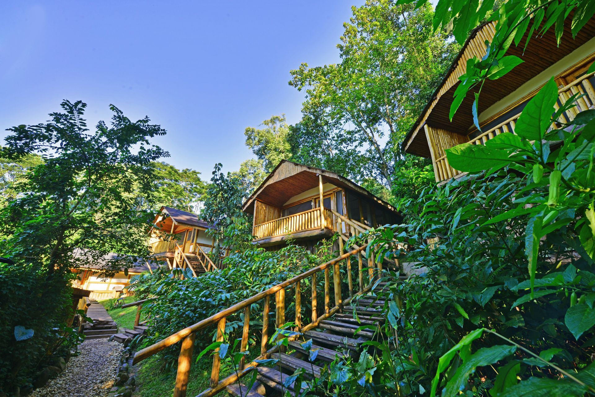 A wooden lodges with stairs leading up to them at Buhoma Lodge it is surrounded by trees in Uganda