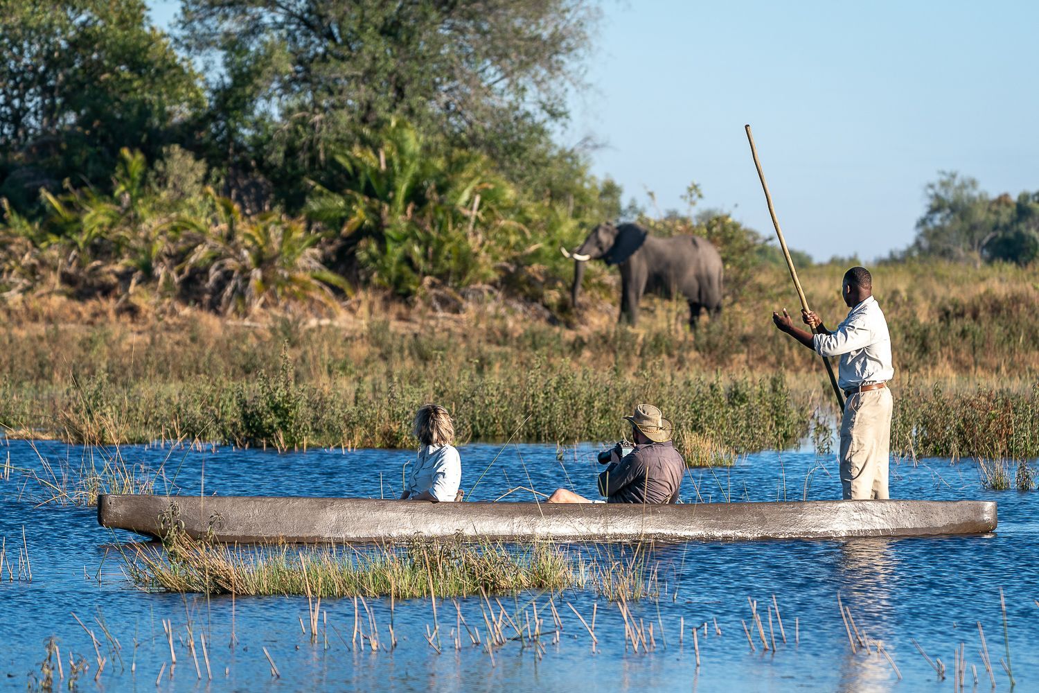 A man is rowing a mokoro dugout canoe in the water with two people in it and an elephant in the background at Jao Camp.