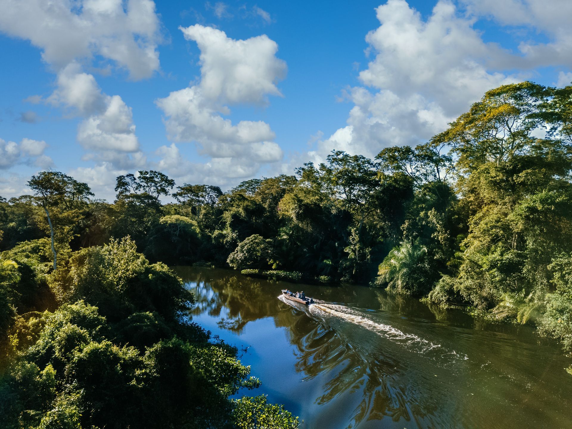 A boat is going down a river surrounded by trees