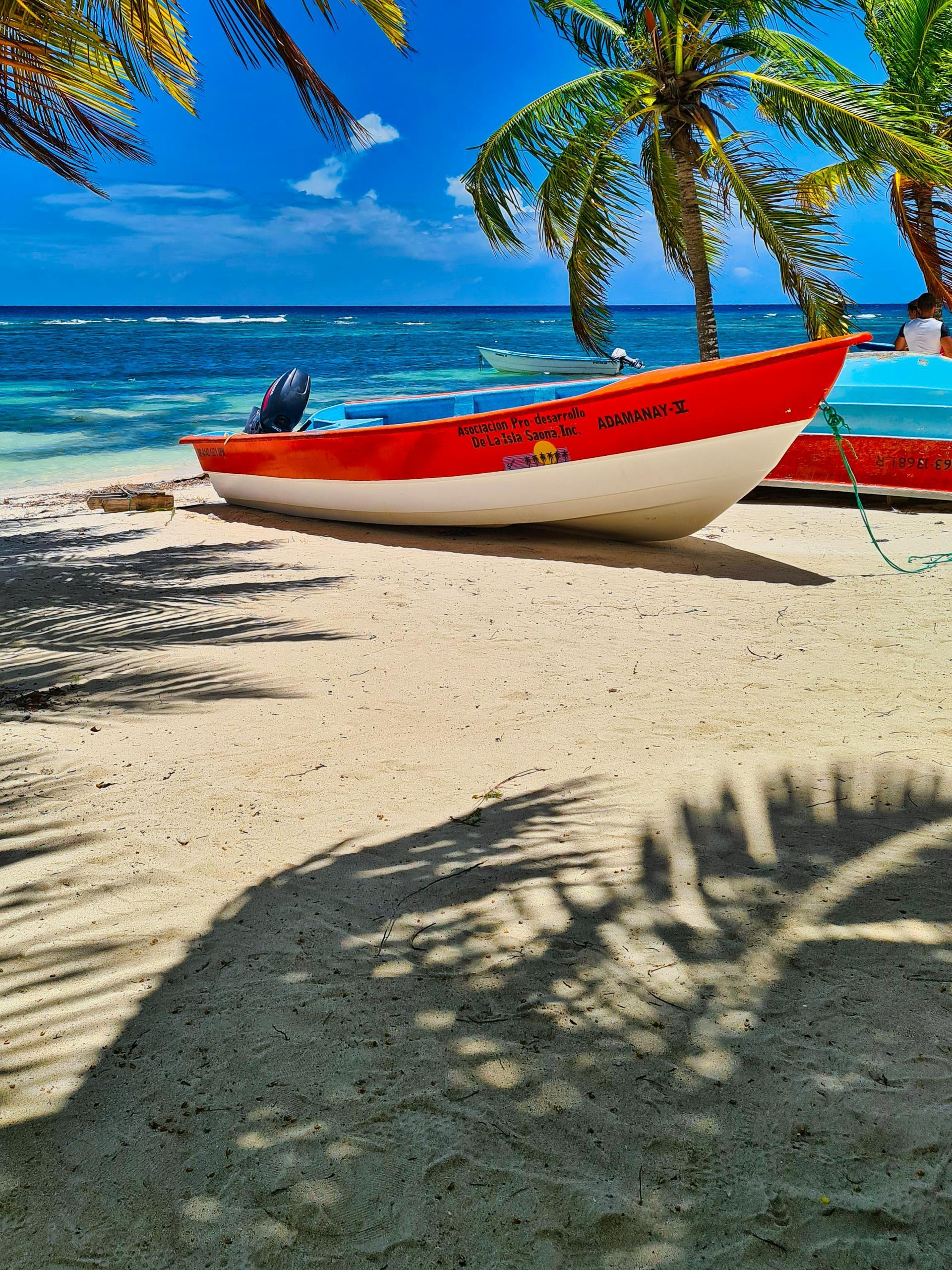 A red and white boat on a sandy beach with a palm tree in the background in Sosua