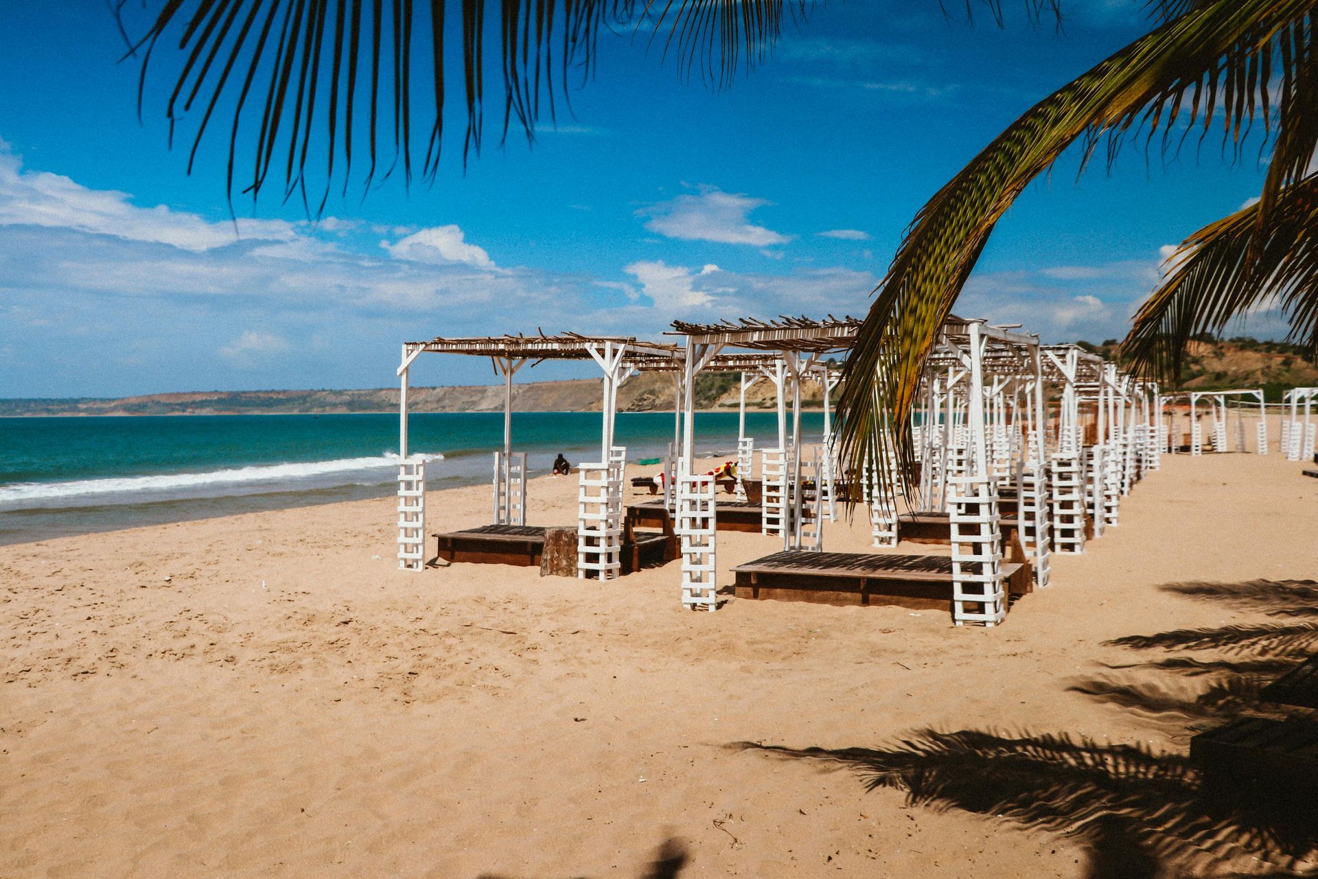 A beach with a lot of chairs and a palm tree in the foreground