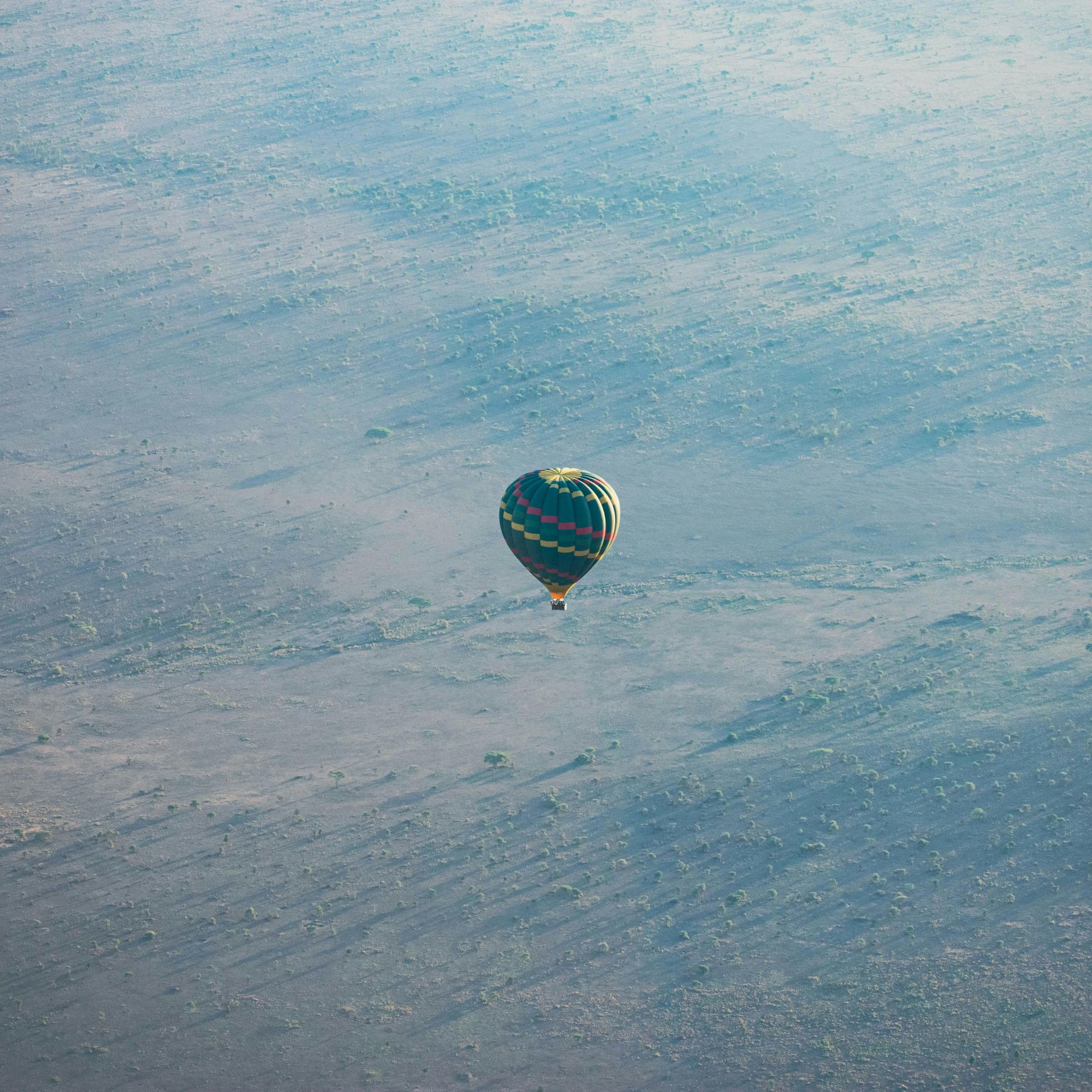 A hot air balloon is flying over the Serengeti