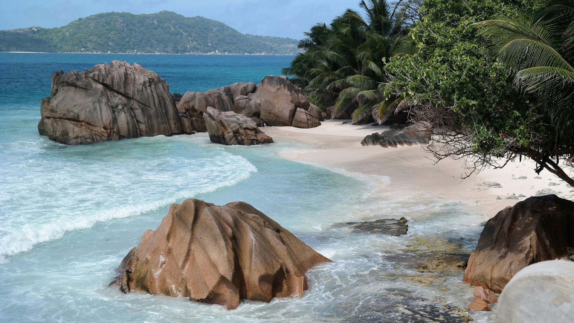 A beach with a lot of rocks in the water in Seychelles