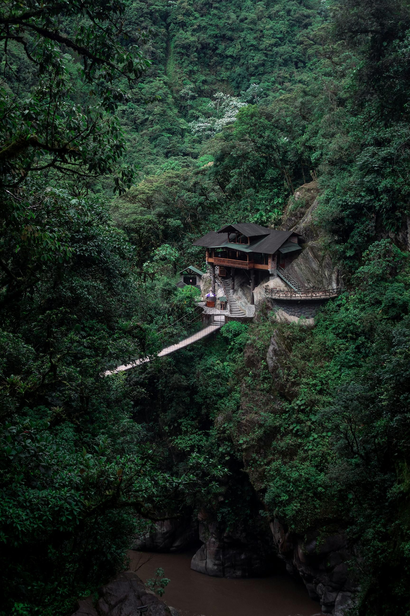 Rainforest Lodge