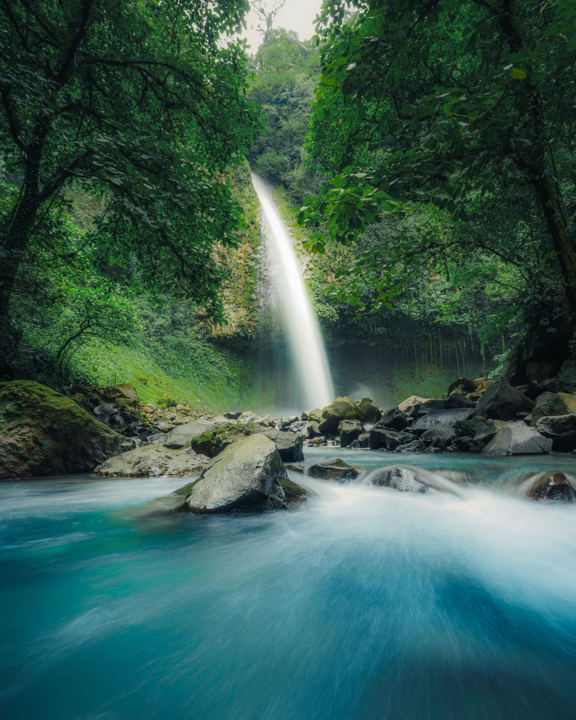 A waterfall is surrounded by trees and rocks in the middle of a river Costa Rica