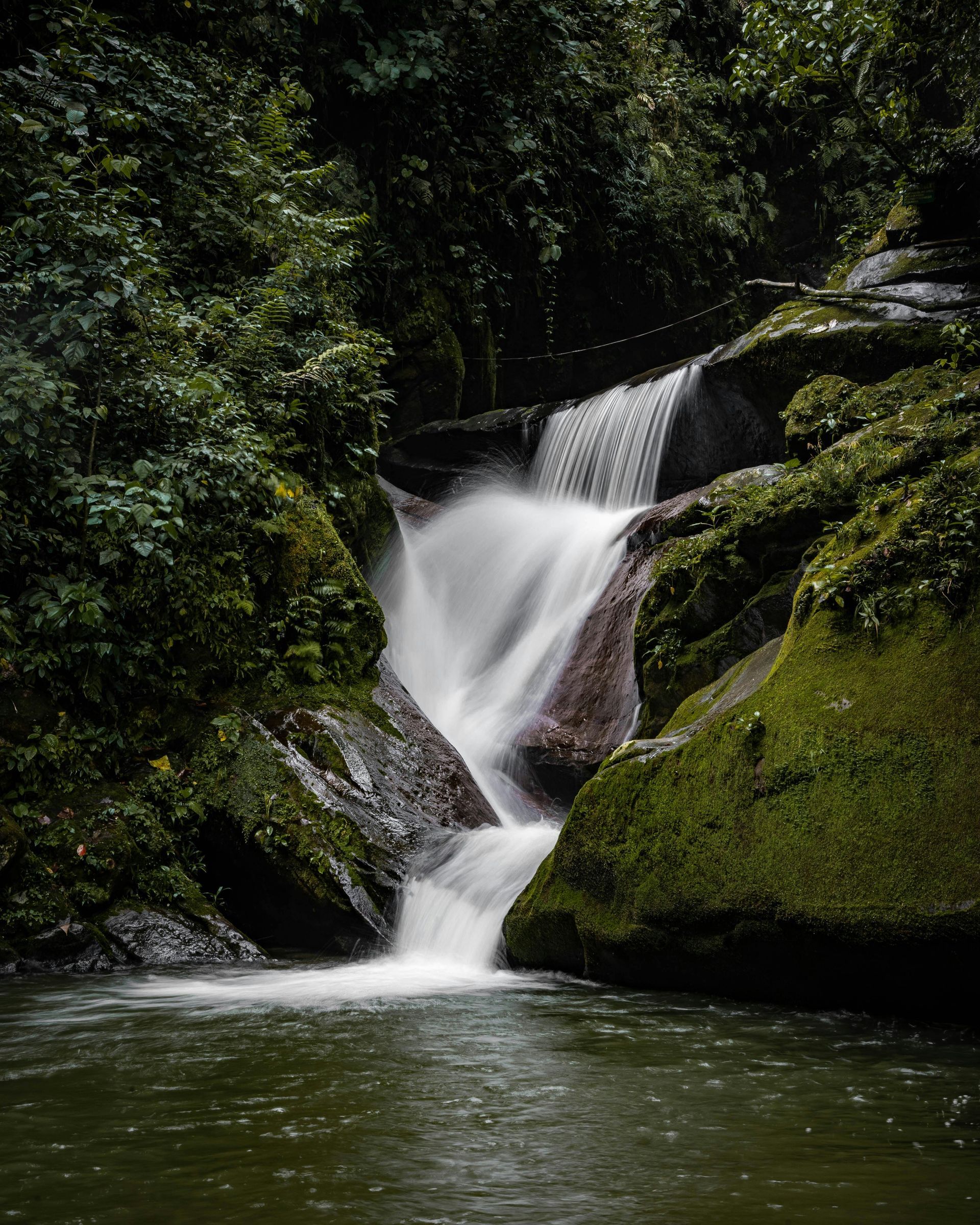 A small waterfall in the middle of a forest