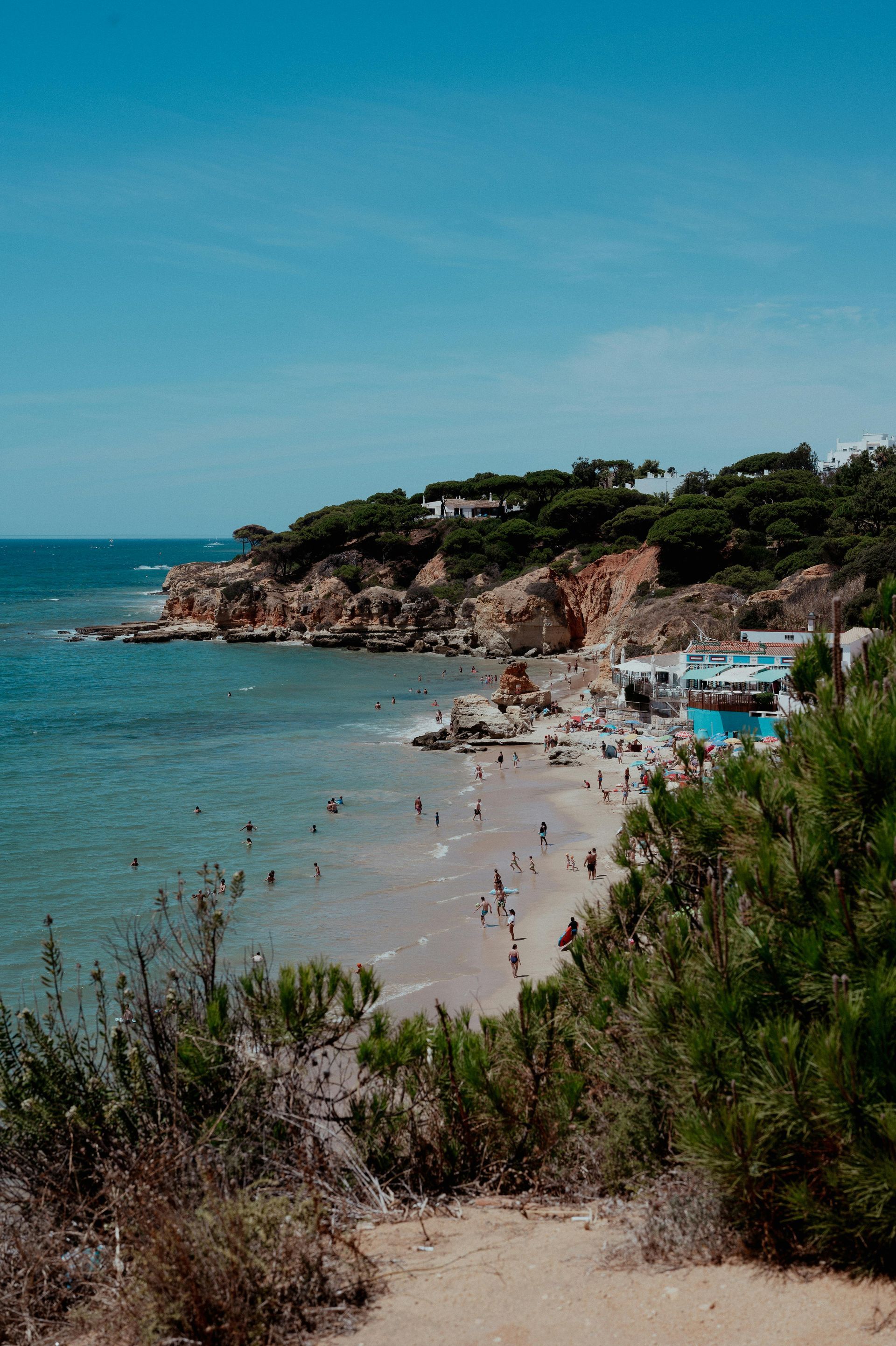 A beach surrounded by trees and bushes next to the ocean on a sunny day.