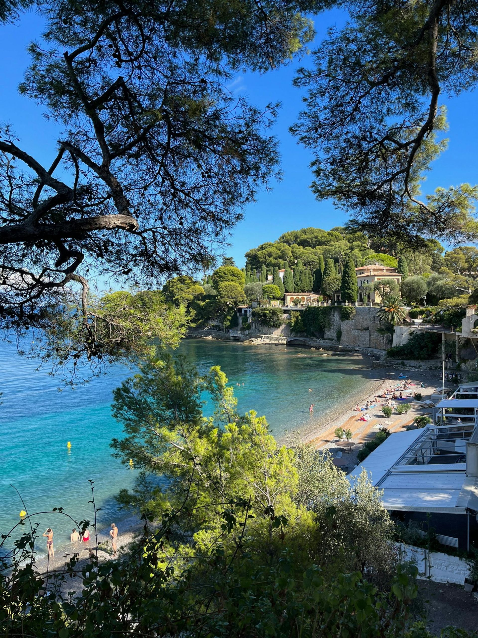 A view of a beach surrounded by trees on a sunny day on the French Riviera