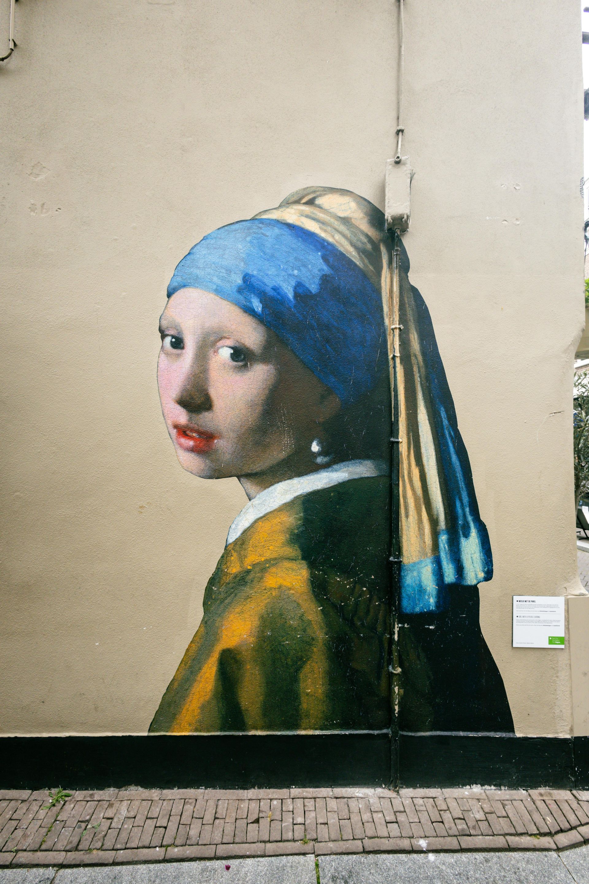 A painting of a girl with a pearl earring on a wall, known as Vermeer’s iconic 'Girl