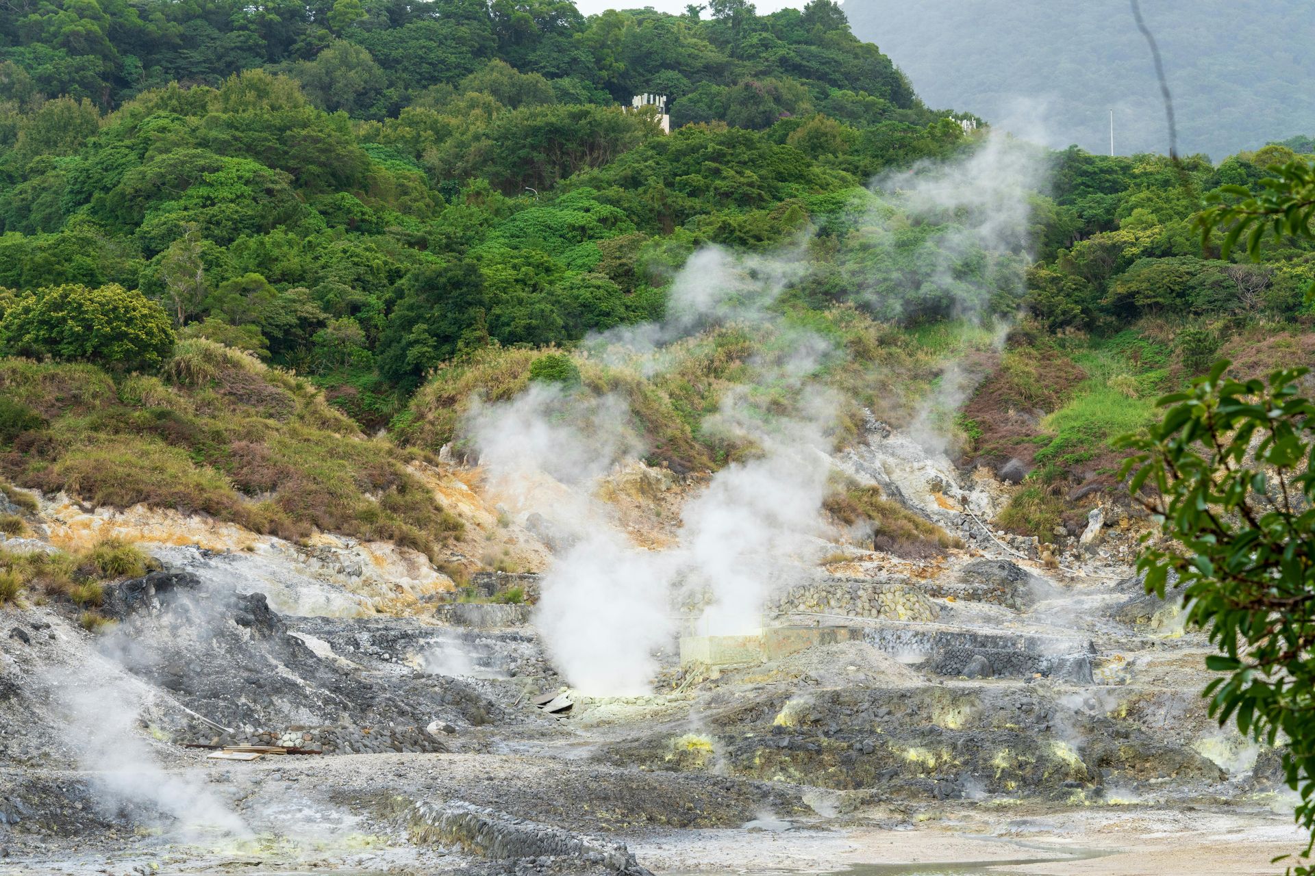 Smoke is coming out of a volcano in the middle of a forest.