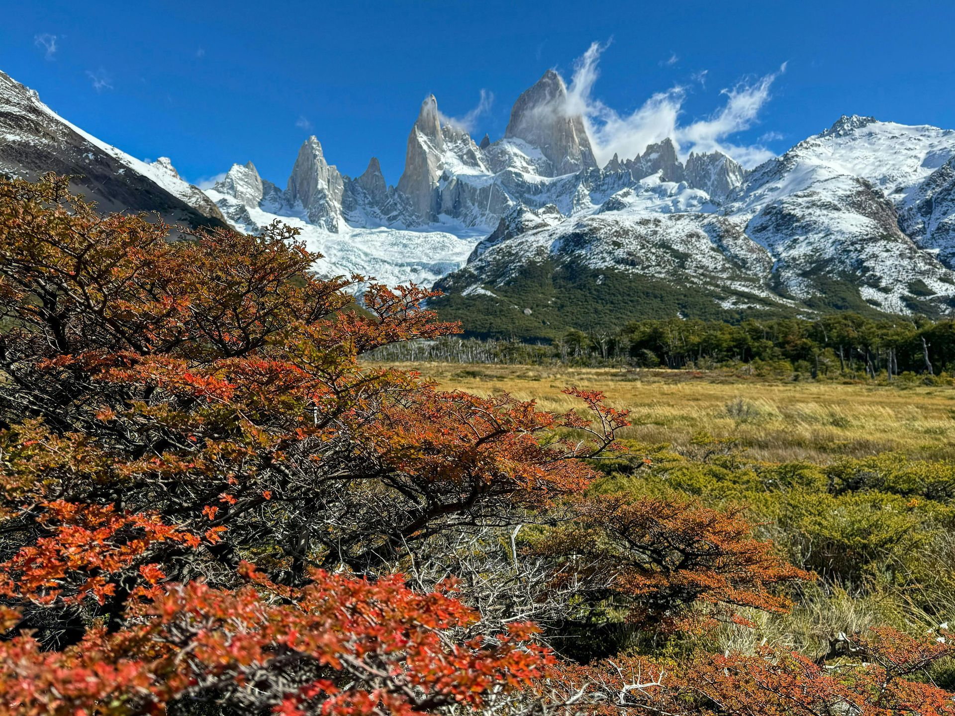 A mountain covered in snow with a field in the foreground and trees in the background in Argentina