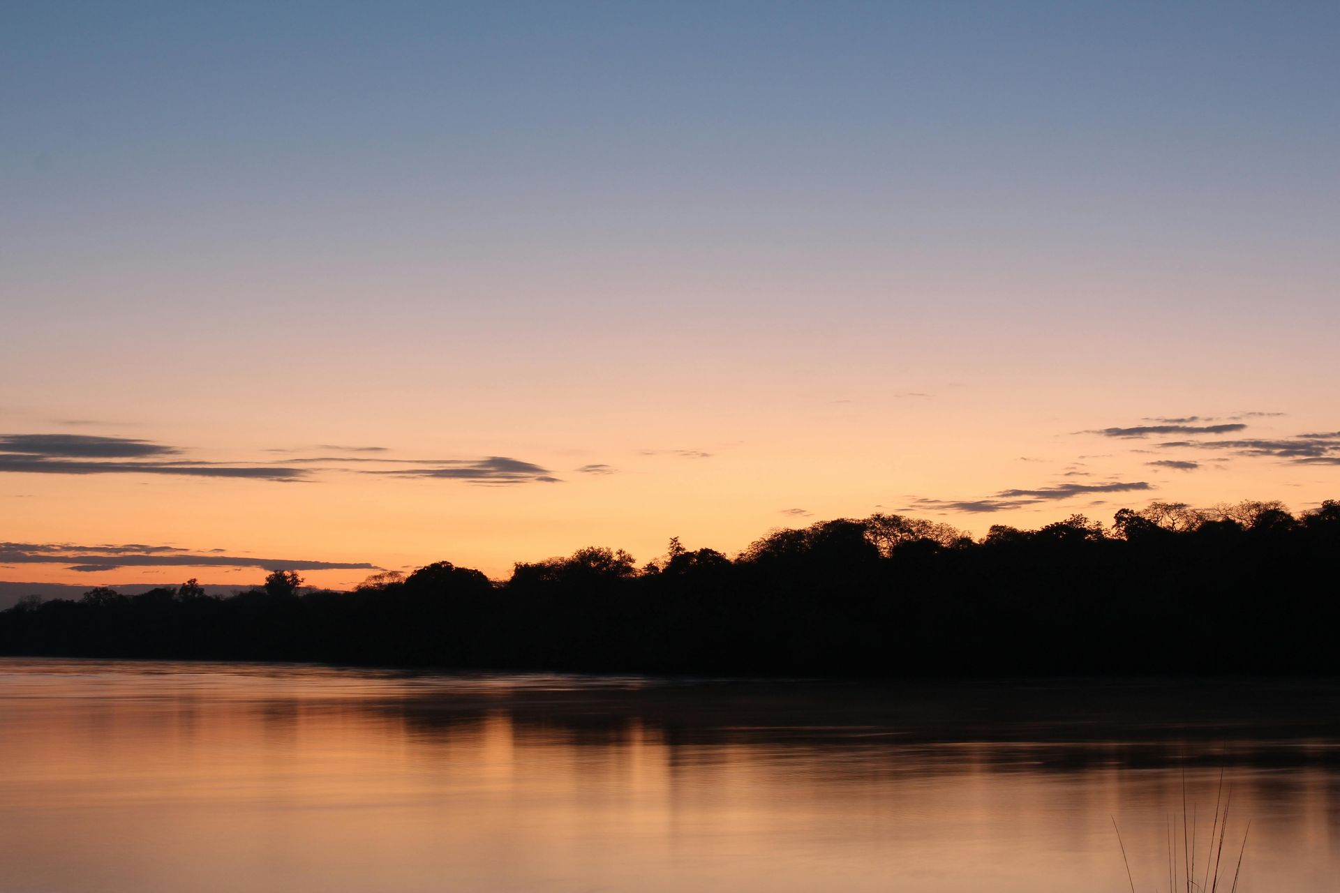 A sunset over the Zambezi River with trees in the foreground