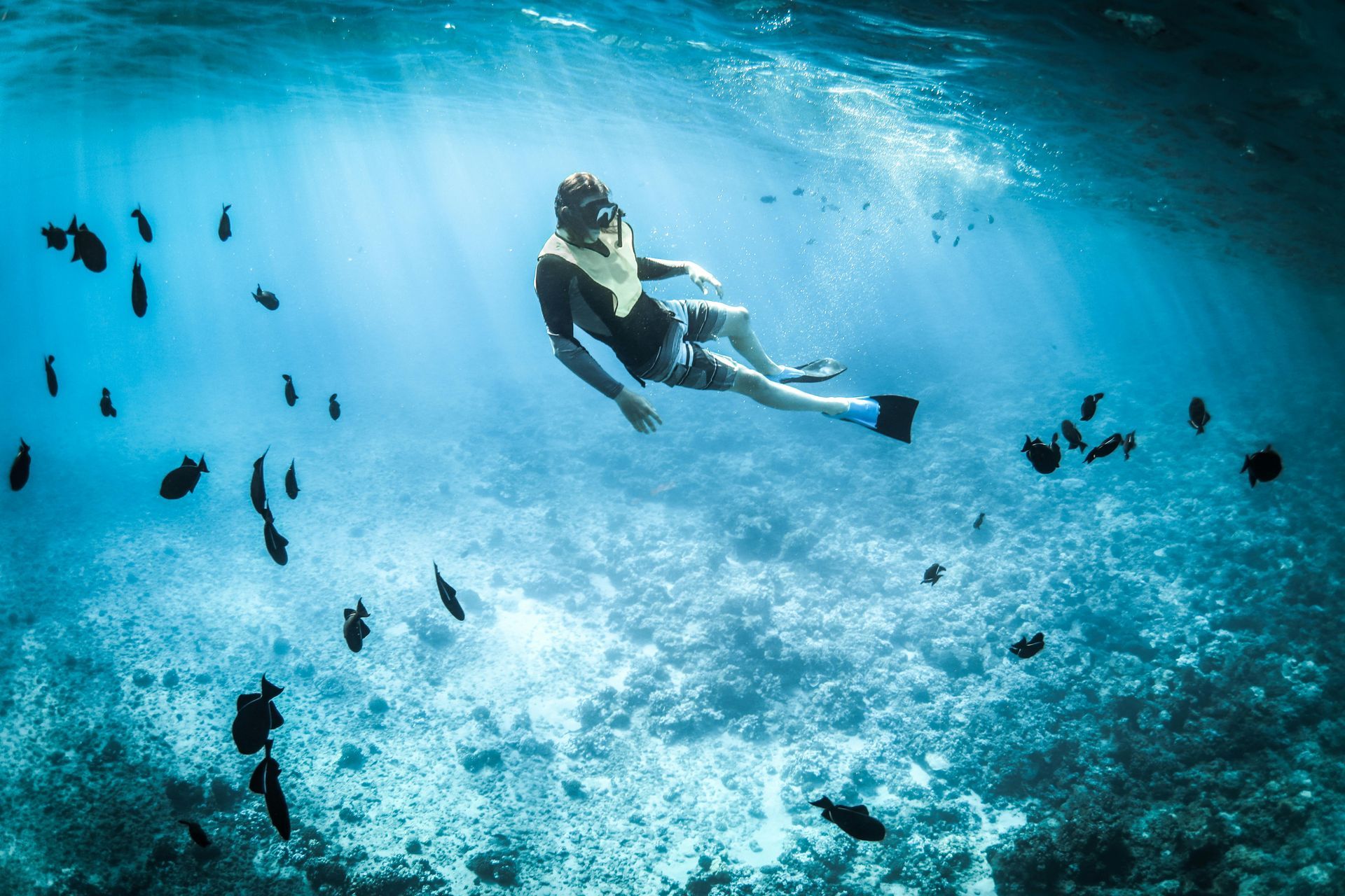 A person is swimming in the ocean surrounded by fish.