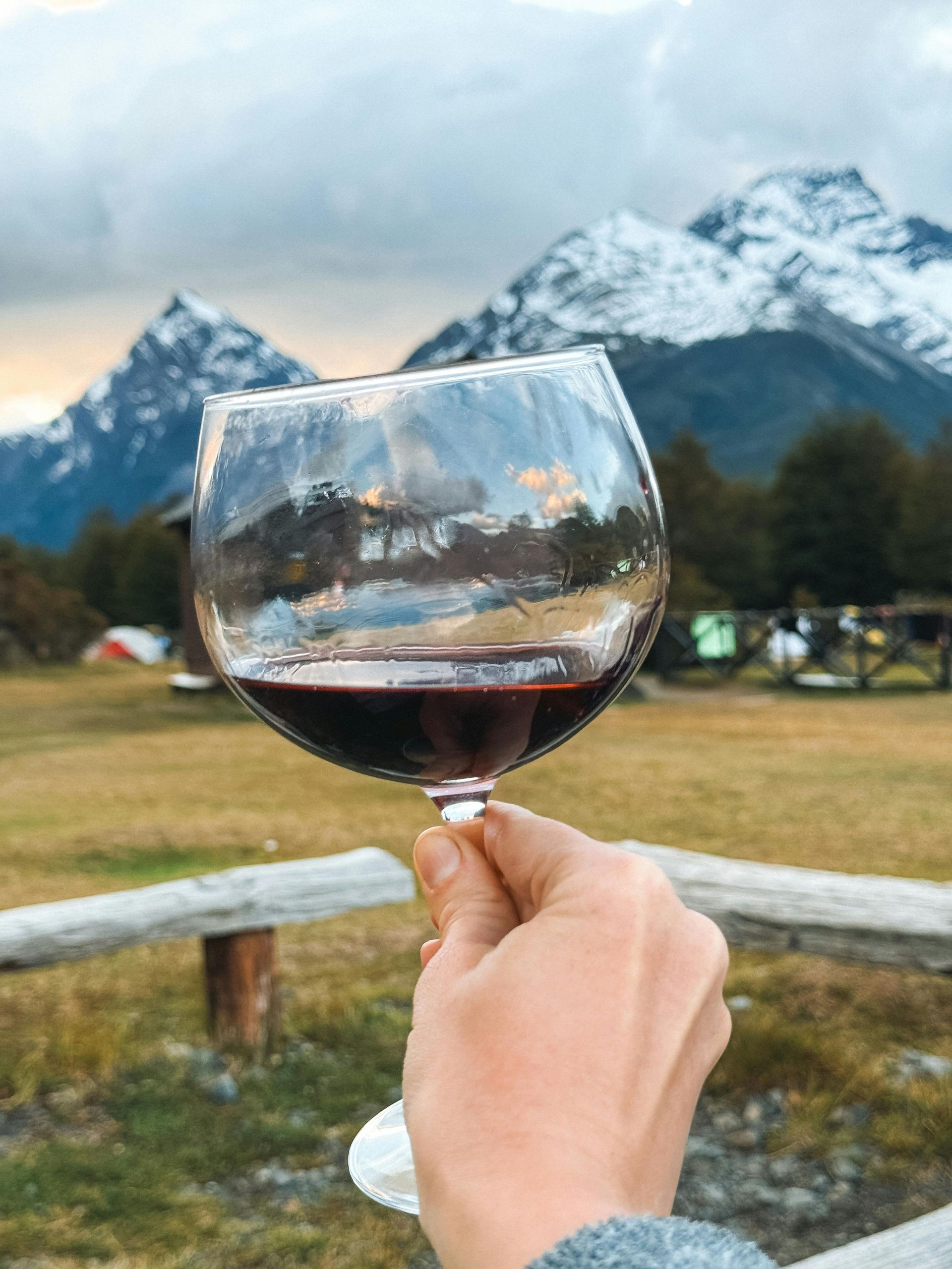 A person is holding a glass of red wine in front of a mountain.