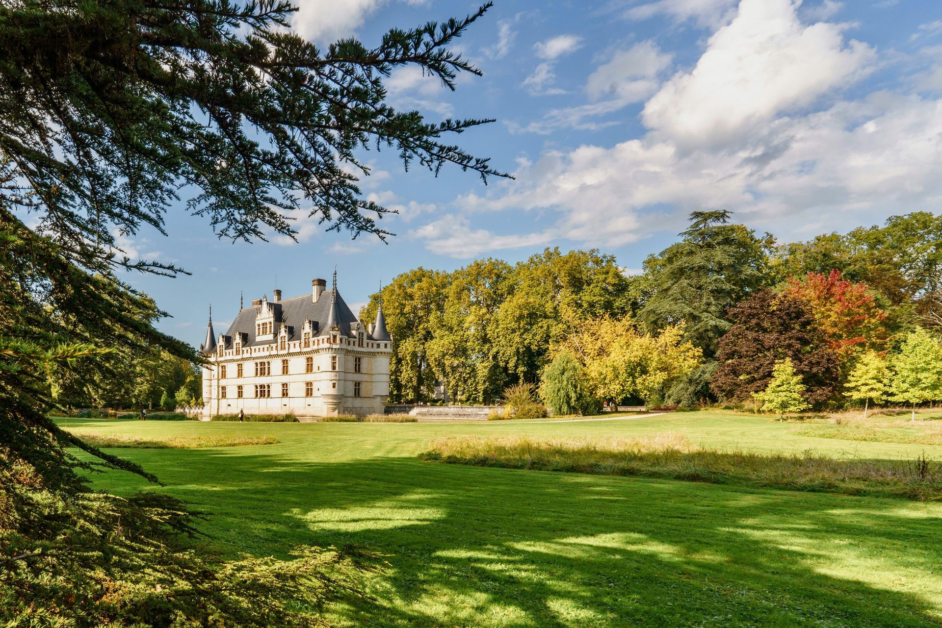 A large Chateaux in Loire Valley is surrounded by trees and grass in a park 