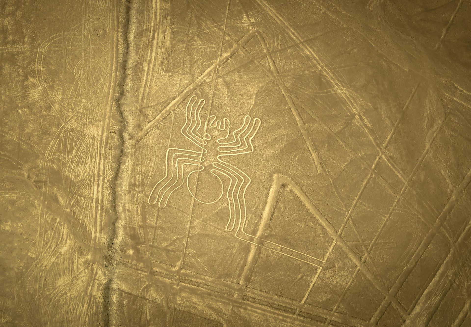 An aerial view of a drawing of a spider on the ground at Nazca Lines
