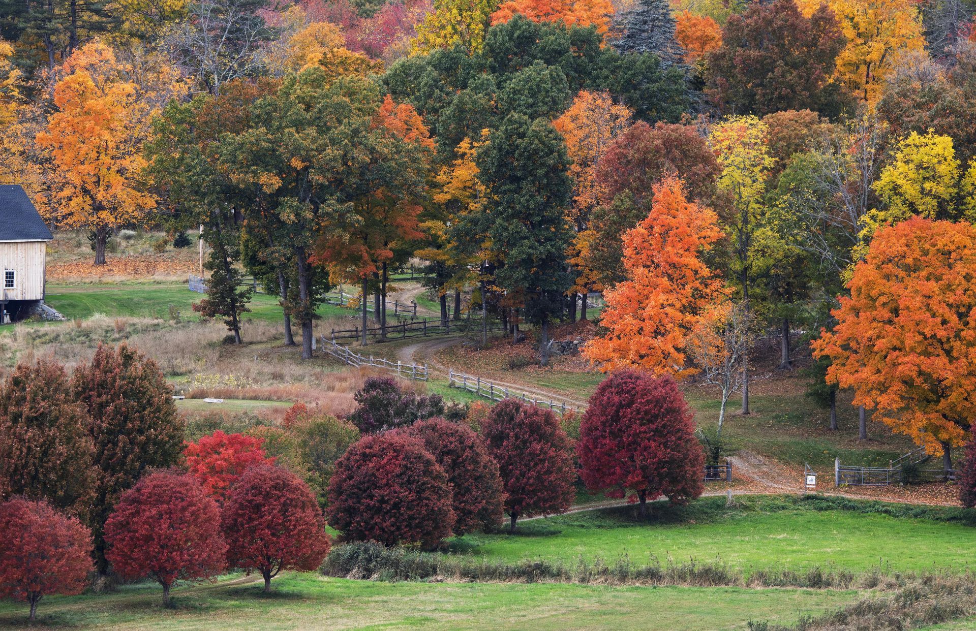A white house is in the middle of a field surrounded by trees that are changing colors.