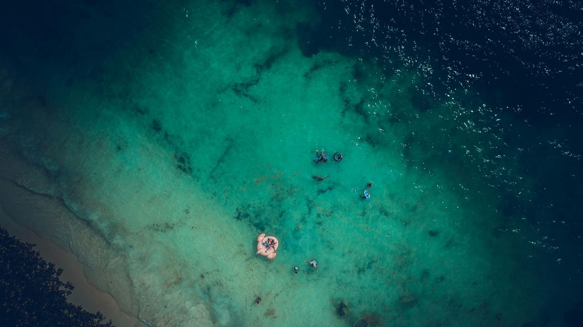 An aerial view of a group of people swimming in the ocean in Seychelles