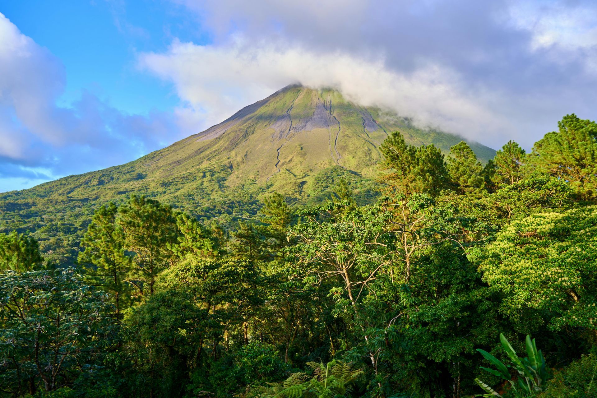 An aerial view of a volcano surrounded by trees in Arenal