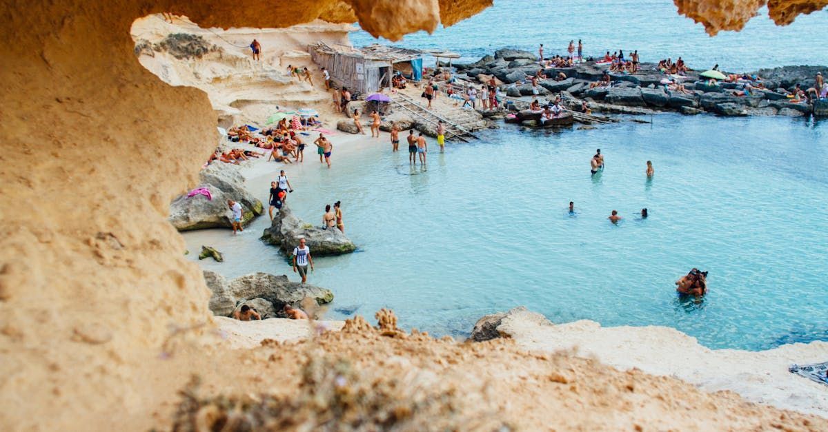 A group of people are swimming in the ocean on a beach.