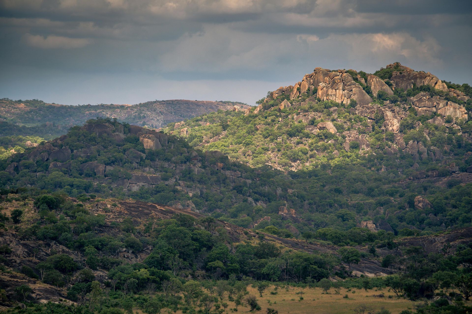 A mountain covered in trees and bushes with a cloudy sky in the background.