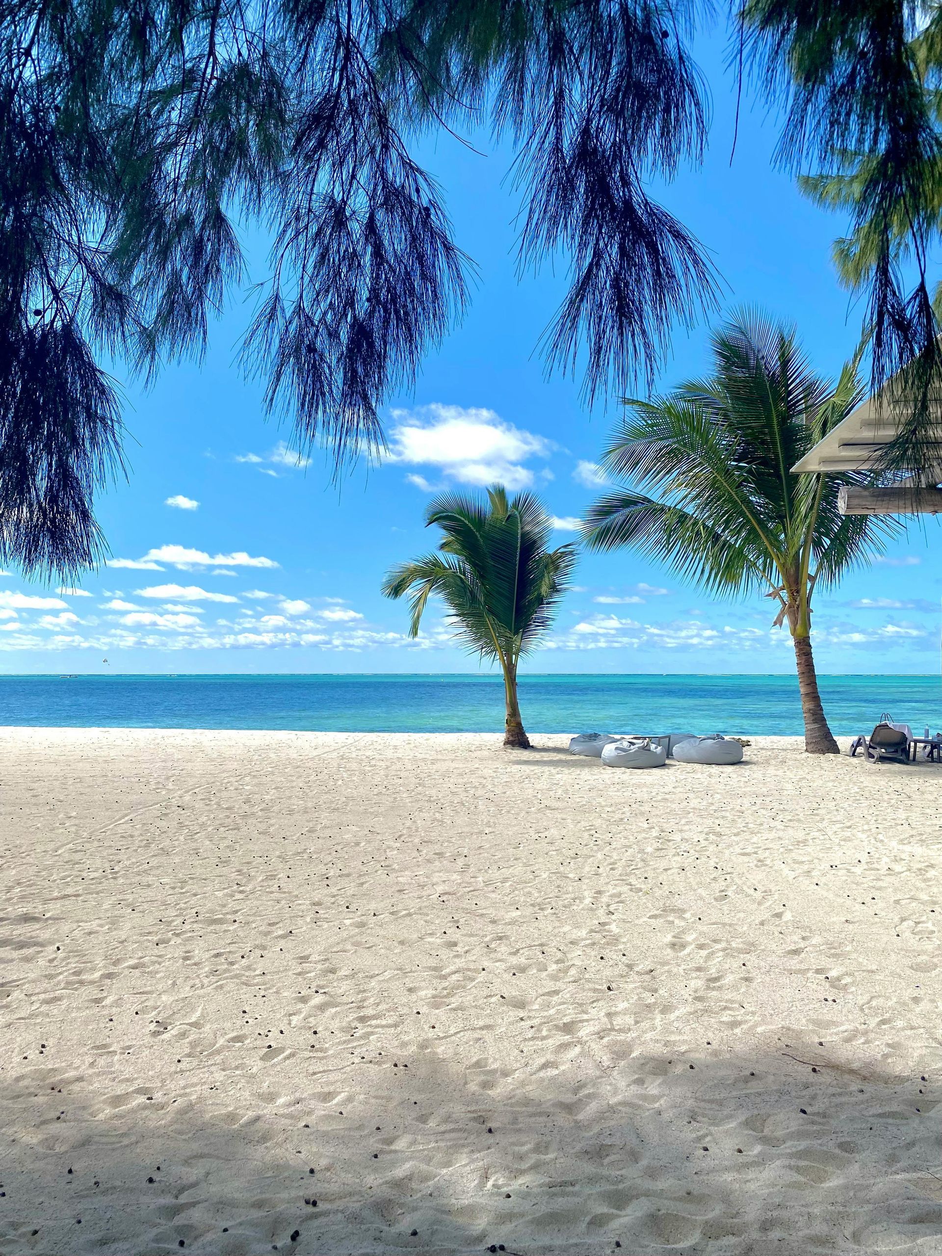 A beach with palm trees and a blue sky
